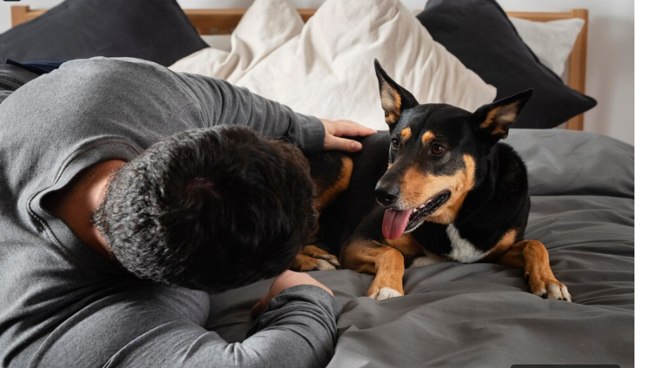 Anxious Dog