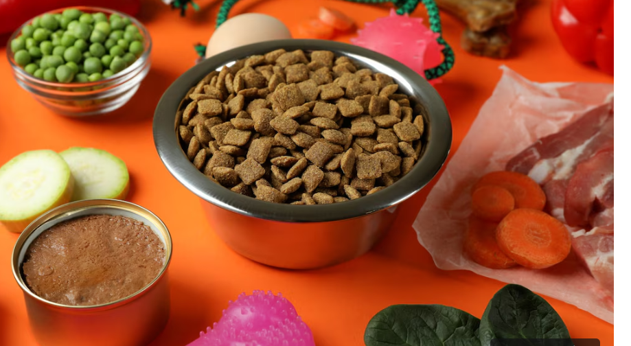 Dog Food