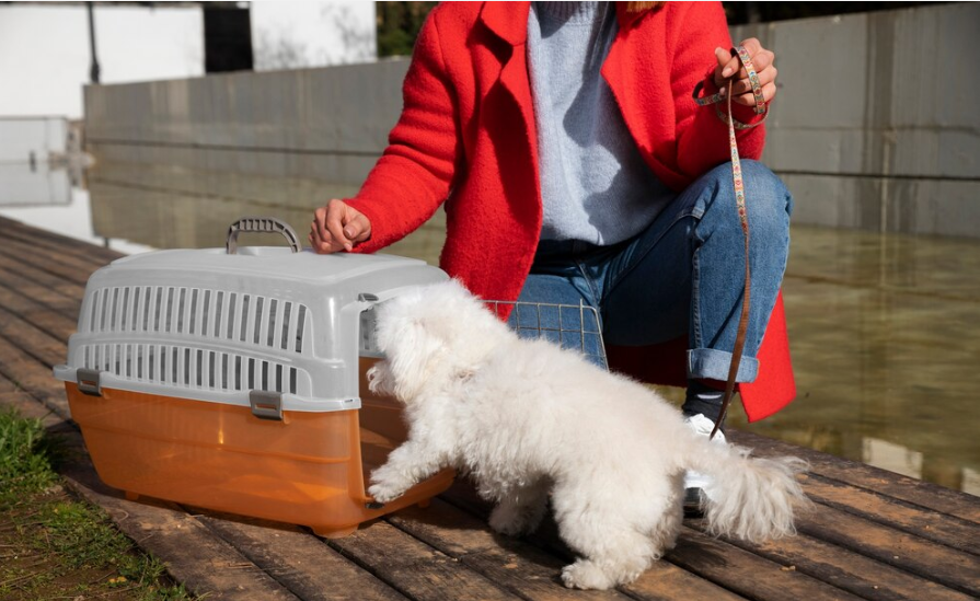 Dog crate training